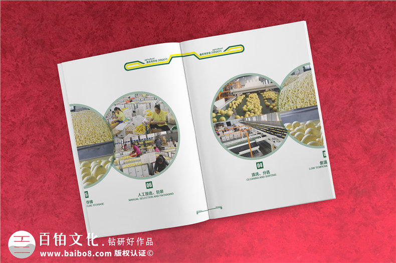 【水果宣傳冊設計】 農業(yè)公司農產(chǎn)品畫(huà)冊制作 樣本冊印刷