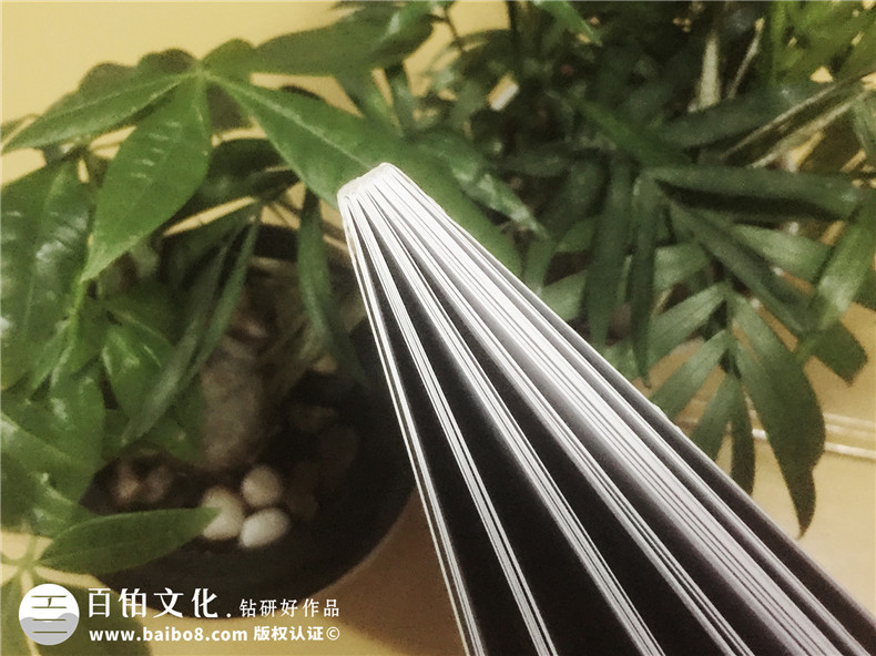 精品藝術(shù)門(mén)板家具畫(huà)冊-產(chǎn)品宣傳畫(huà)冊