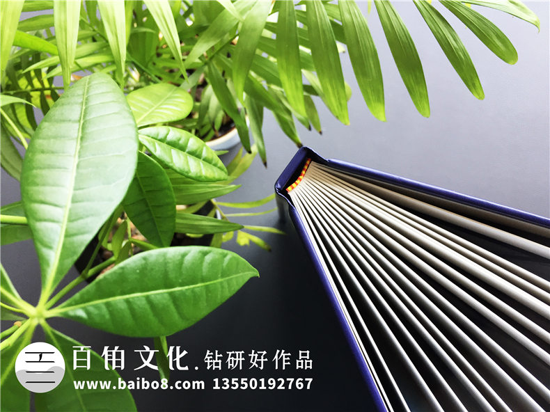 【企業(yè)資質(zhì)手冊】 公司簡(jiǎn)介畫(huà)冊設計制作 企業(yè)介紹宣傳冊排版