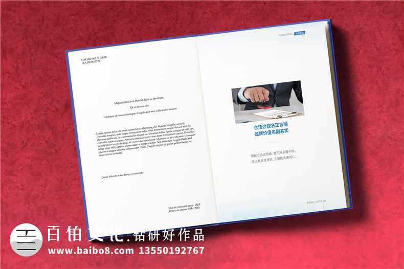 【企業(yè)資質(zhì)手冊】 公司簡(jiǎn)介畫(huà)冊設計制作 企業(yè)介紹宣傳冊排版