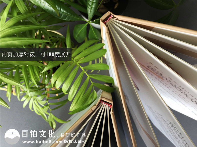 【整形美容醫院業(yè)務(wù)介紹手冊設計】美妝店項目（價(jià)格表）手冊制作