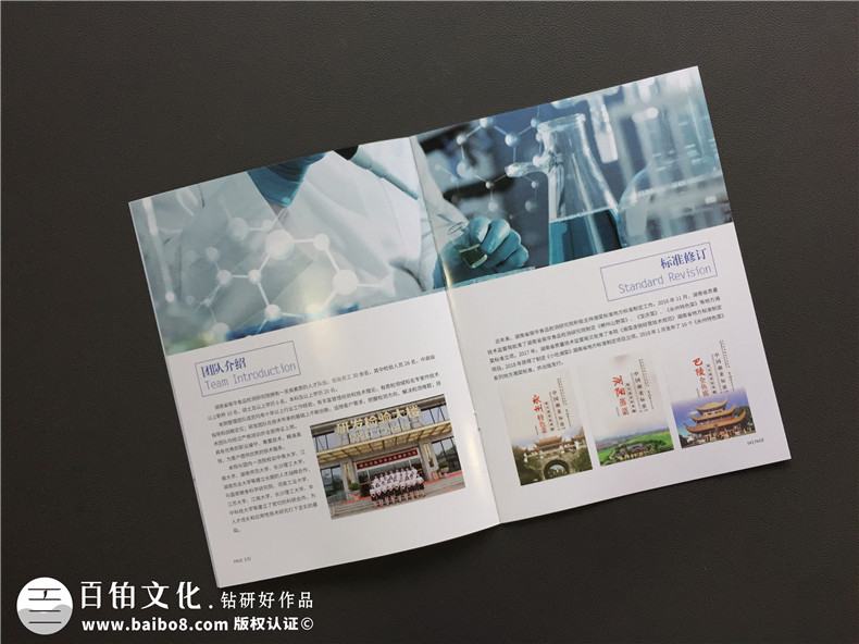 【食品檢測公司宣傳冊設計】食品企業(yè)畫(huà)冊制作-長(cháng)沙畫(huà)冊設計公司