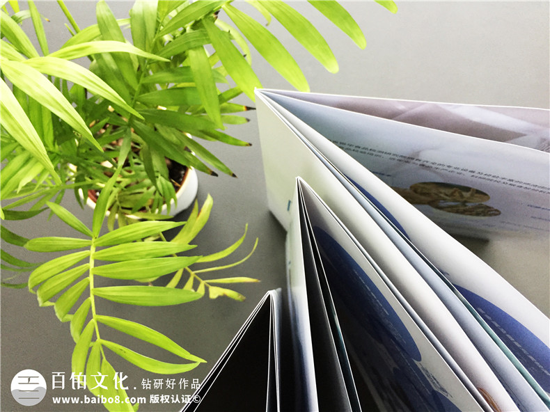 【食品檢測公司宣傳冊設計】食品企業(yè)畫(huà)冊制作-長(cháng)沙畫(huà)冊設計公司