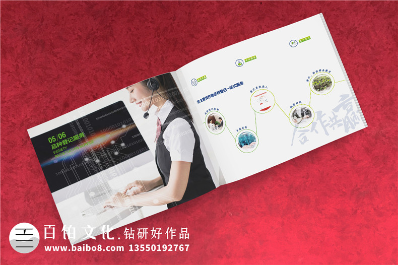 種子質(zhì)量檢測公司宣傳冊設計-第三方檢測機構行業(yè)畫(huà)冊設計怎么做?