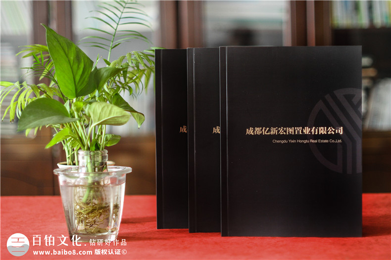 房地產(chǎn)置業(yè)開(kāi)發(fā)公司宣傳冊設計-造價(jià)咨詢(xún)物業(yè)管理營(yíng)銷(xiāo)代理企業(yè)畫(huà)冊