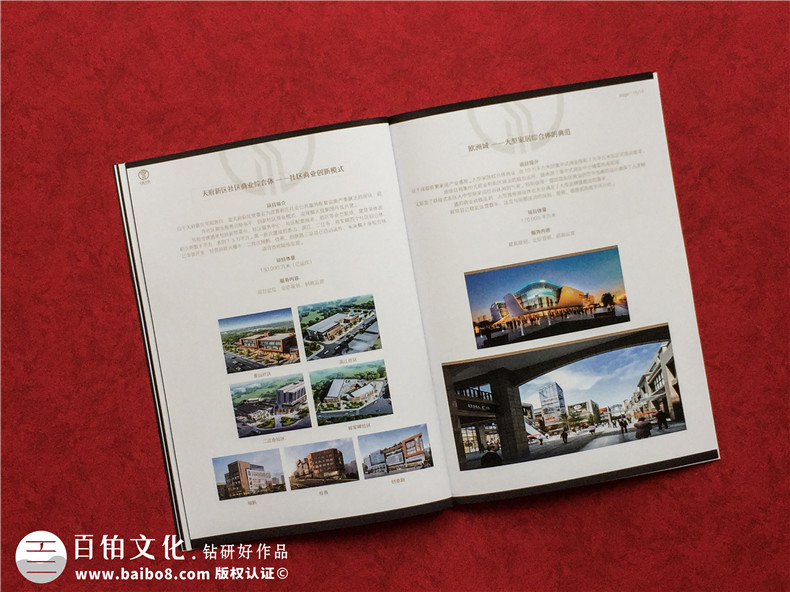 房地產(chǎn)置業(yè)開(kāi)發(fā)公司宣傳冊設計-造價(jià)咨詢(xún)物業(yè)管理營(yíng)銷(xiāo)代理企業(yè)畫(huà)冊