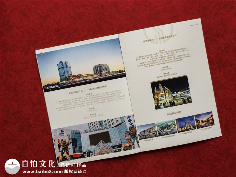 房地產(chǎn)置業(yè)開(kāi)發(fā)公司宣傳冊設計-造價(jià)咨詢(xún)物業(yè)管理營(yíng)銷(xiāo)代理企業(yè)畫(huà)冊