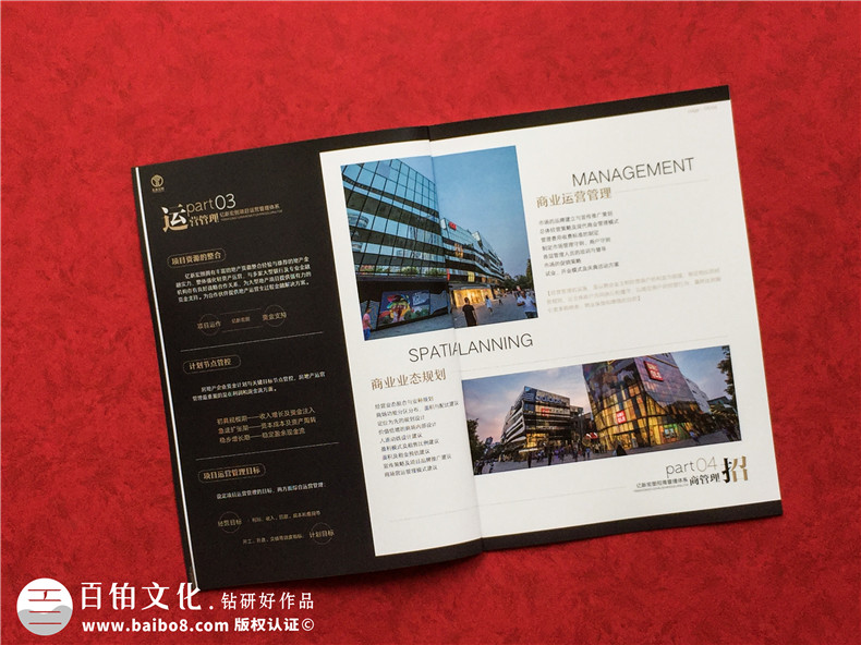 房地產(chǎn)置業(yè)開(kāi)發(fā)公司宣傳冊設計-造價(jià)咨詢(xún)物業(yè)管理營(yíng)銷(xiāo)代理企業(yè)畫(huà)冊