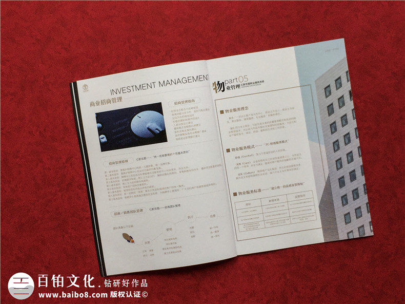 房地產(chǎn)置業(yè)開(kāi)發(fā)公司宣傳冊設計-造價(jià)咨詢(xún)物業(yè)管理營(yíng)銷(xiāo)代理企業(yè)畫(huà)冊