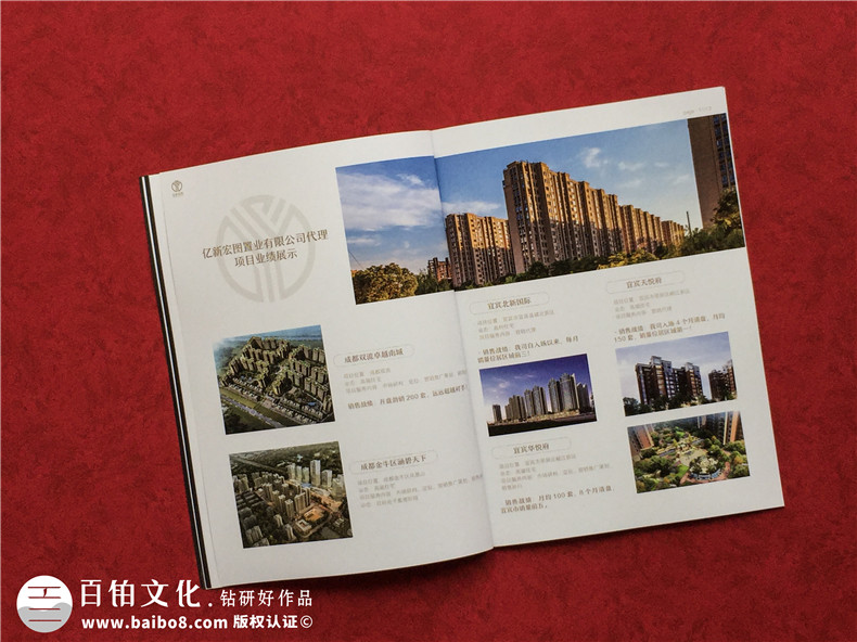 房地產(chǎn)置業(yè)開(kāi)發(fā)公司宣傳冊設計-造價(jià)咨詢(xún)物業(yè)管理營(yíng)銷(xiāo)代理企業(yè)畫(huà)冊