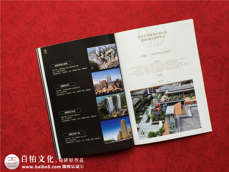房地產(chǎn)置業(yè)開(kāi)發(fā)公司宣傳冊設計-造價(jià)咨詢(xún)物業(yè)管理營(yíng)銷(xiāo)代理企業(yè)畫(huà)冊