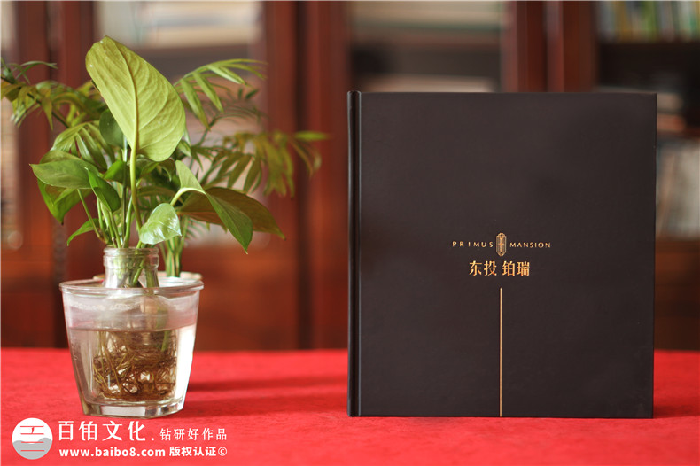 專(zhuān)業(yè)樓書(shū)制作公司為售樓部排版的樓書(shū)怎么做-房地產(chǎn)商用宣傳冊設計