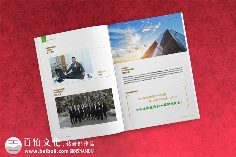 企業(yè)服務(wù)公司宣傳冊制作-財稅咨詢(xún)會(huì )計服務(wù)公司畫(huà)冊設計