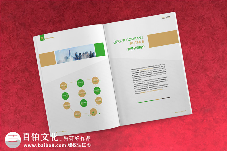 企業(yè)服務(wù)公司宣傳冊制作-財稅咨詢(xún)會(huì )計服務(wù)公司畫(huà)冊設計