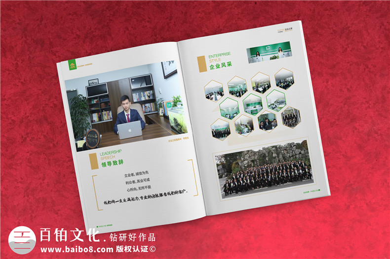 企業(yè)服務(wù)公司宣傳冊制作-財稅咨詢(xún)會(huì )計服務(wù)公司畫(huà)冊設計