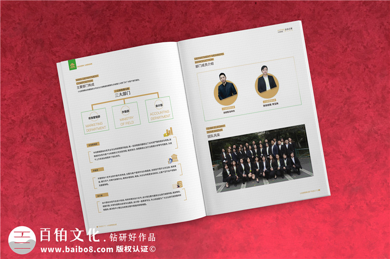 企業(yè)服務(wù)公司宣傳冊制作-財稅咨詢(xún)會(huì )計服務(wù)公司畫(huà)冊設計