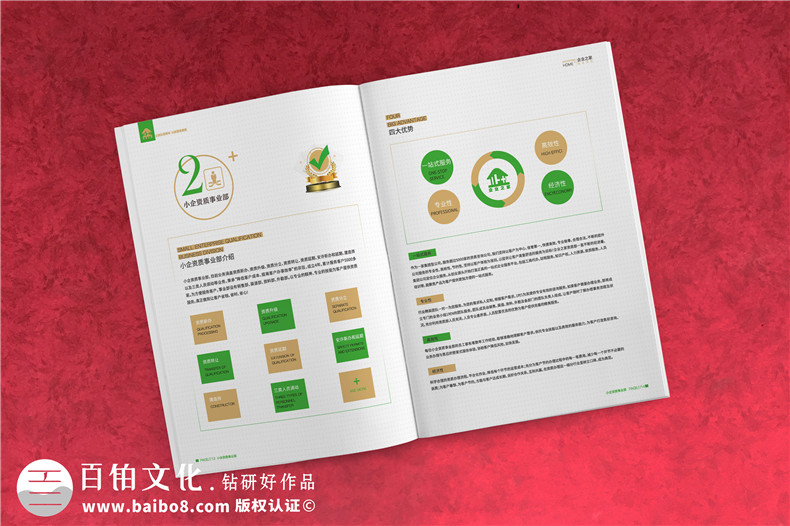 企業(yè)服務(wù)公司宣傳冊制作-財稅咨詢(xún)會(huì )計服務(wù)公司畫(huà)冊設計