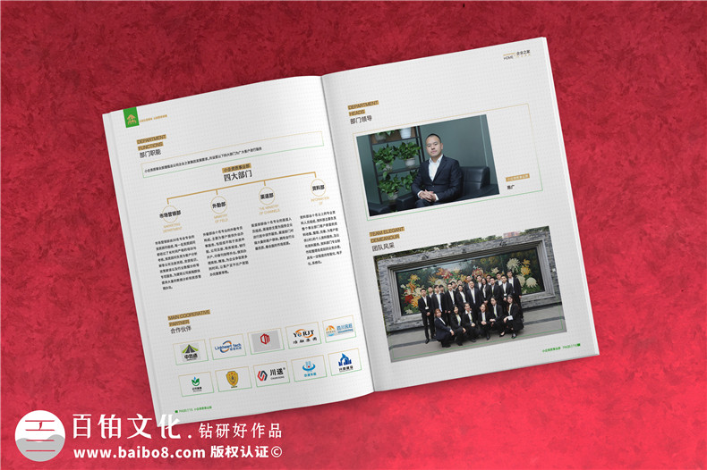 企業(yè)服務(wù)公司宣傳冊制作-財稅咨詢(xún)會(huì )計服務(wù)公司畫(huà)冊設計