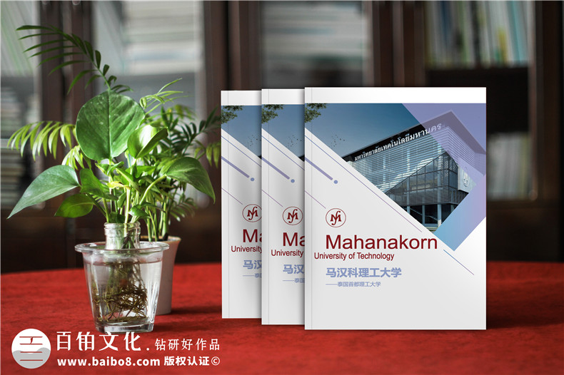 招生簡(jiǎn)章畫(huà)冊設計-高校招生宣傳手冊如何制作