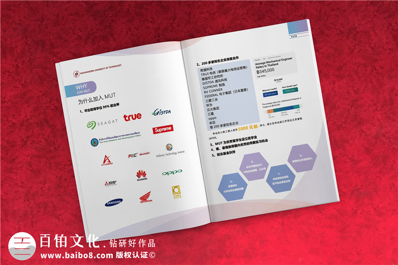 招生簡(jiǎn)章畫(huà)冊設計-高校招生宣傳手冊如何制作