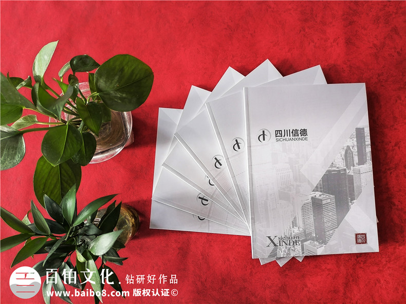 財務(wù)審計公司宣傳冊設計-工程造價(jià)管理及稅務(wù)咨詢(xún)資產(chǎn)評估企業(yè)畫(huà)冊