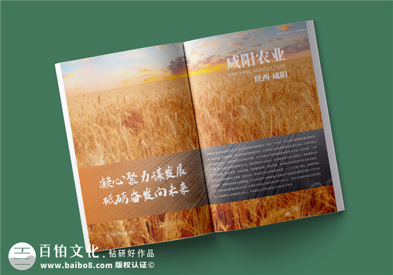 農業(yè)畫(huà)冊設計-農業(yè)公司農產(chǎn)品宣傳冊怎么做