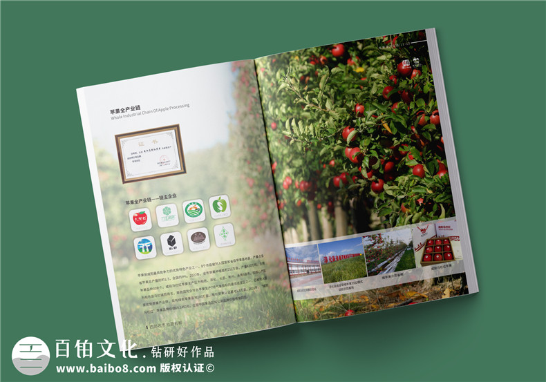 畫(huà)冊定制-如何設計一本出色的農業(yè)畫(huà)冊