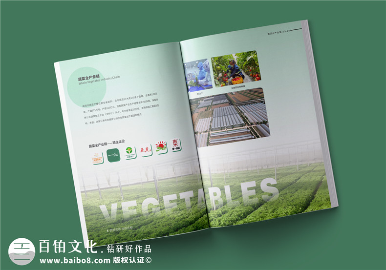 農業(yè)畫(huà)冊設計-農業(yè)公司農產(chǎn)品宣傳冊怎么做
