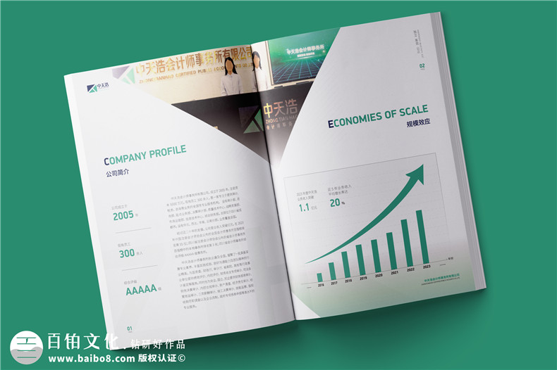 會(huì )計師事務(wù)所宣傳冊設計怎么做-審計咨詢(xún)公司簡(jiǎn)介畫(huà)冊制作案例