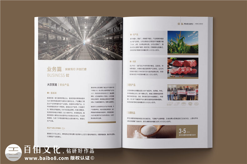 外貿企業(yè)宣傳冊-供應鏈服務(wù)實(shí)業(yè)公司畫(huà)冊設計