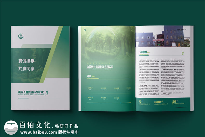 消煙除塵環(huán)境工程公司宣傳冊-脫硫脫硝企業(yè)畫(huà)冊