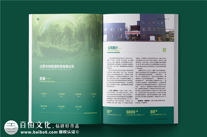 消煙除塵環(huán)境工程公司宣傳冊-脫硫脫硝企業(yè)畫(huà)冊