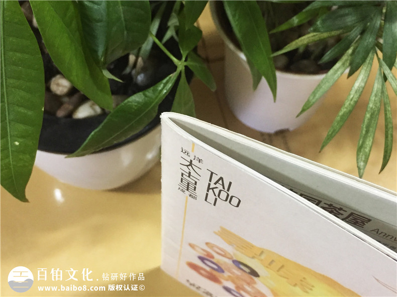 商業(yè)街區導視宣傳畫(huà)冊-商業(yè)廣場(chǎng)介紹畫(huà)冊