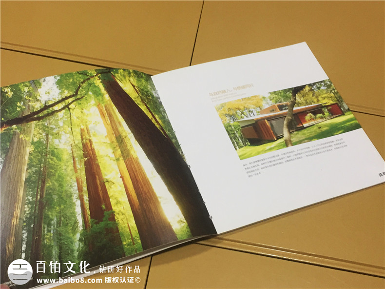 辰銘·柏易生態(tài)木業(yè)產(chǎn)品宣傳畫(huà)冊-公司畫(huà)冊制作
