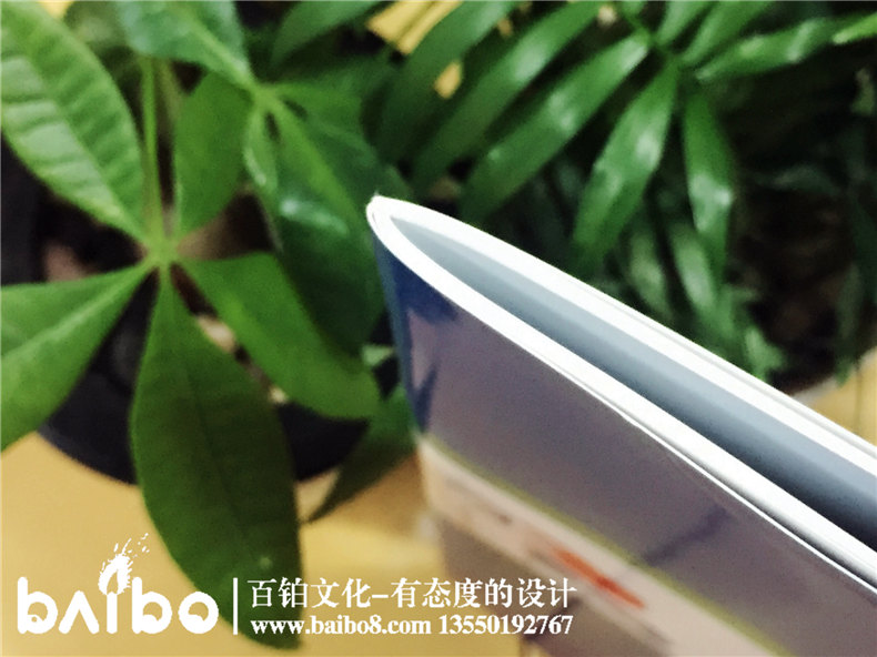 高新信息技術(shù)企業(yè)宣傳畫(huà)冊設計制作-公司畫(huà)冊印刷