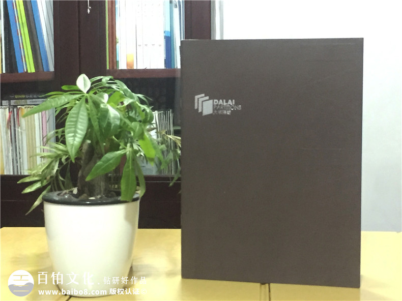 大來(lái)隔斷產(chǎn)品宣傳畫(huà)冊制作-公司畫(huà)冊制作