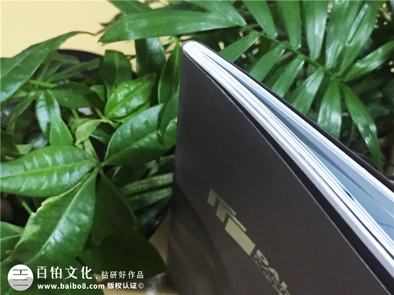 大來(lái)隔斷產(chǎn)品宣傳畫(huà)冊制作-公司畫(huà)冊制作