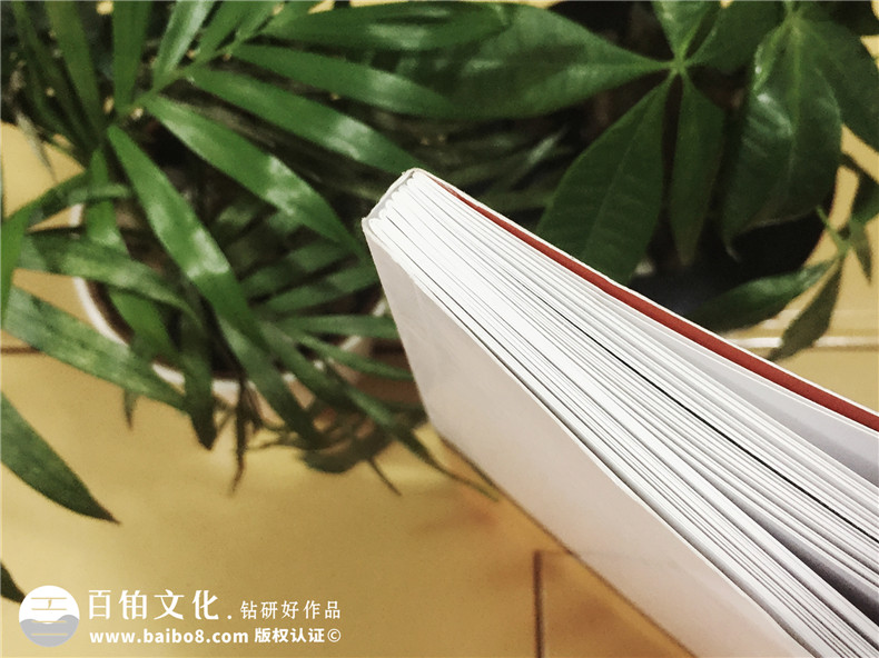 陶格個(gè)性定制藝術(shù)背景墻-產(chǎn)品宣傳畫(huà)冊設計