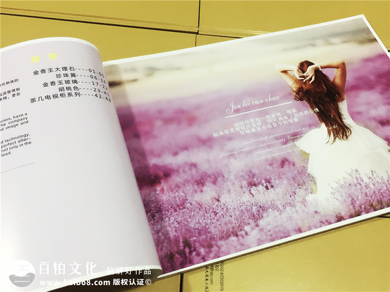 金磊家私餐廳座椅產(chǎn)品宣傳畫(huà)冊-家具產(chǎn)品畫(huà)冊