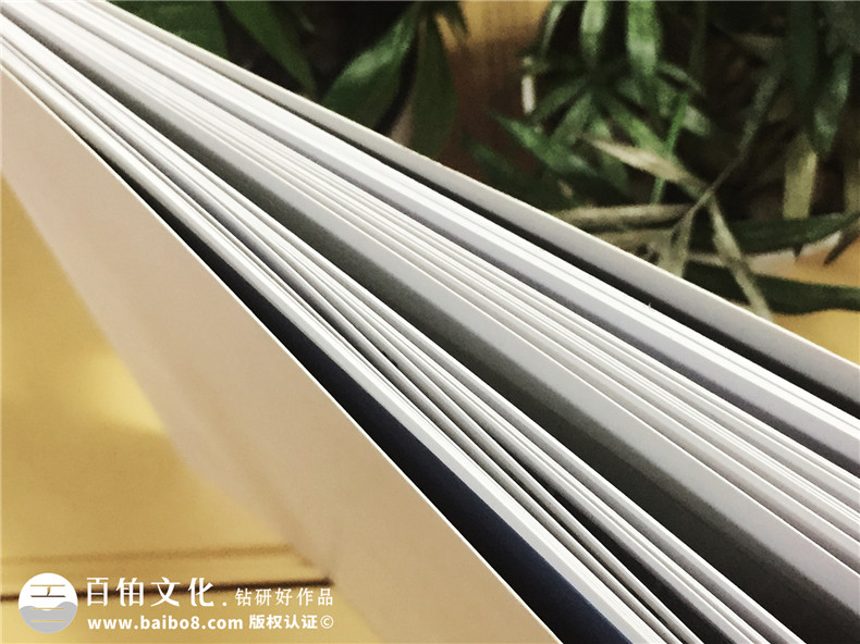 愛(ài)戀名品家私沙發(fā)產(chǎn)品宣傳畫(huà)冊設計-家具畫(huà)冊制