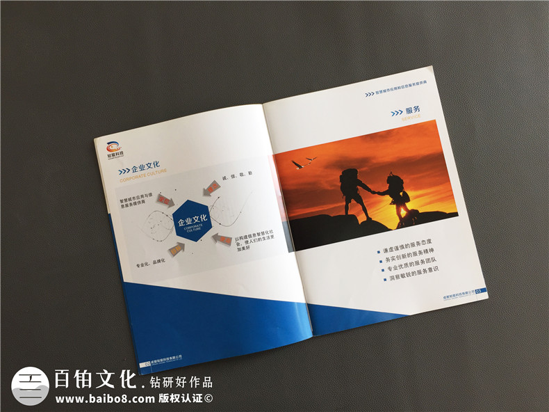 軟件操作系統公司宣傳畫(huà)冊制作-企業(yè)宣傳冊設計