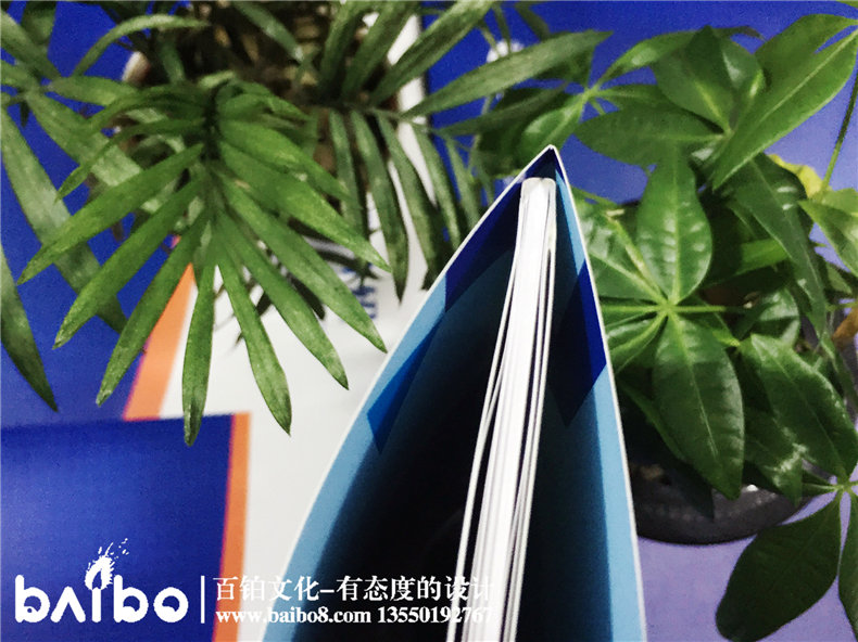 公司宣傳畫(huà)冊設計制作-產(chǎn)品介紹手冊