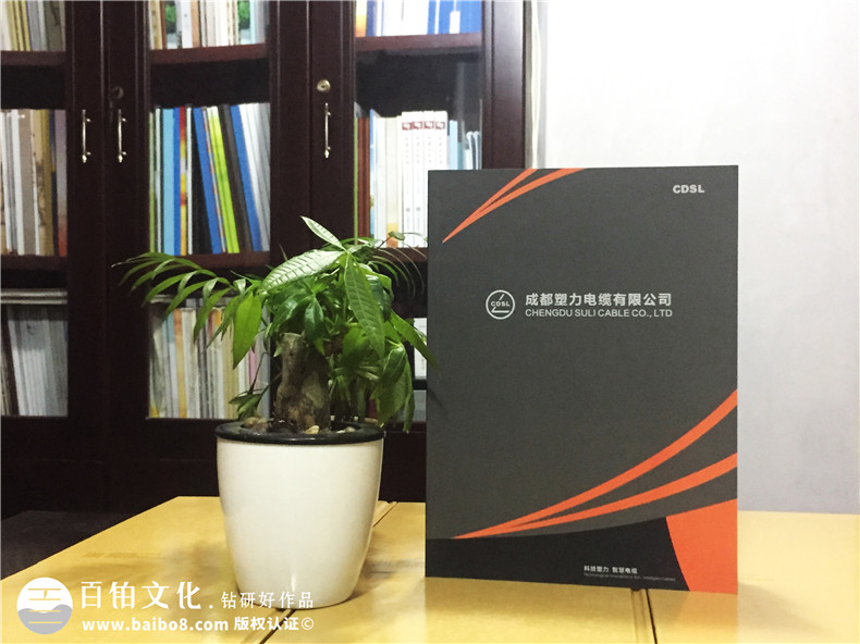 企業(yè)宣傳畫(huà)冊制作-公司業(yè)務(wù)手冊