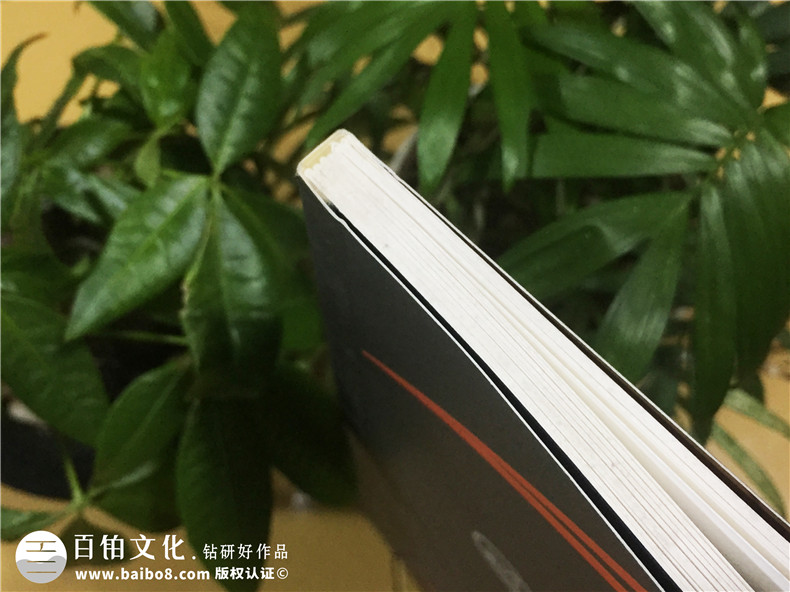 企業(yè)宣傳畫(huà)冊制作-公司業(yè)務(wù)手冊