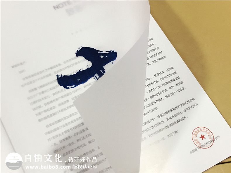 企業(yè)形象畫(huà)冊設計-噴繪機產(chǎn)品宣傳畫(huà)冊制作