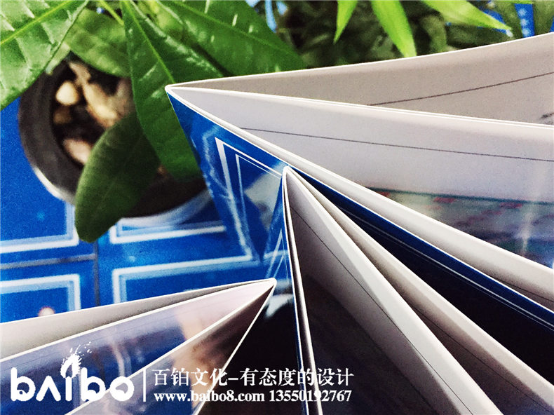 學(xué)校宣傳畫(huà)冊設計-學(xué)校招商簡(jiǎn)章制作