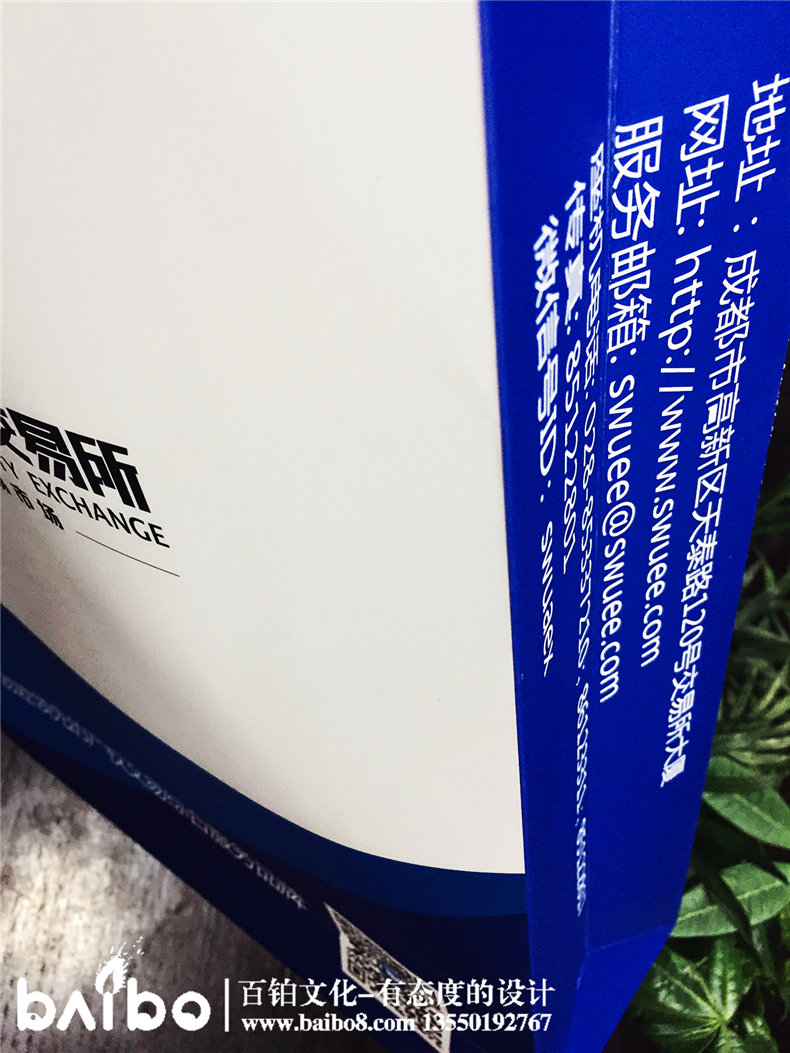 成都公司宣傳畫(huà)冊設計-企業(yè)手提袋定制