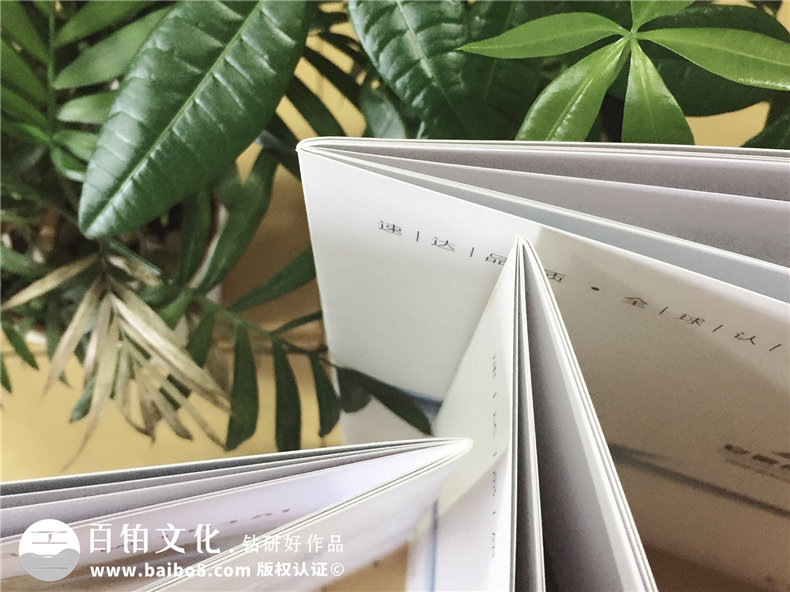 公司廣告宣傳畫(huà)冊設計-機械設備產(chǎn)品宣傳冊制作