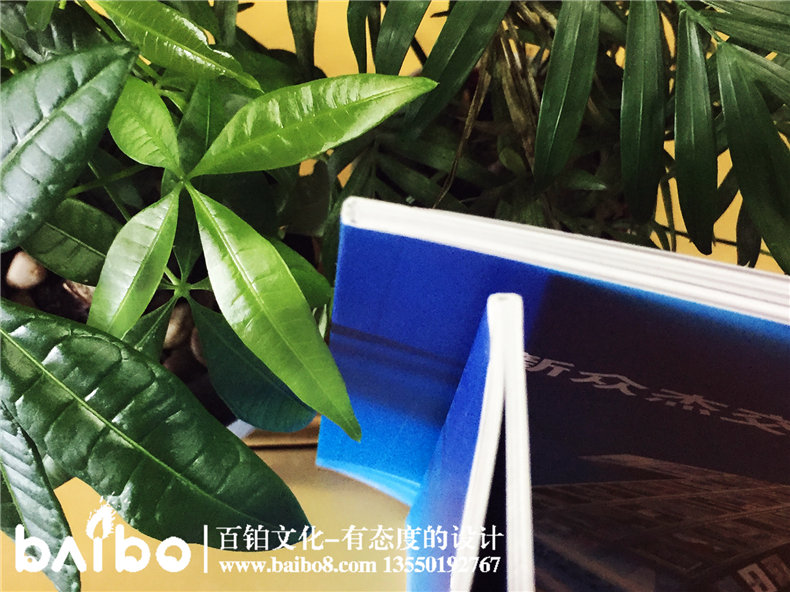 標識加工制作產(chǎn)品宣傳畫(huà)冊設計-公司畫(huà)冊制作