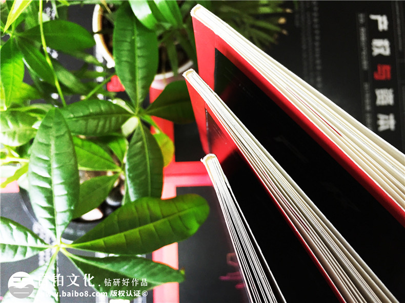 《產(chǎn)權與資本》企業(yè)內刊設計-公司形象畫(huà)冊